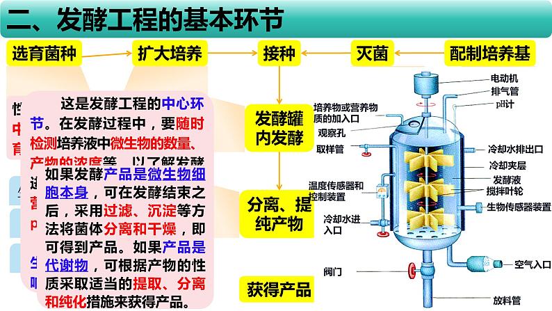 人教版（2019）高中生物  选择性必修三  1.3发酵工程及其应用课件PPT第7页