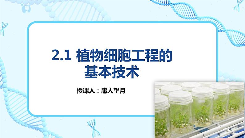 人教版（2019）高中生物学  选择性必修三  生物技术与工程     2.1植物细胞工程的应用（3课时）课件04