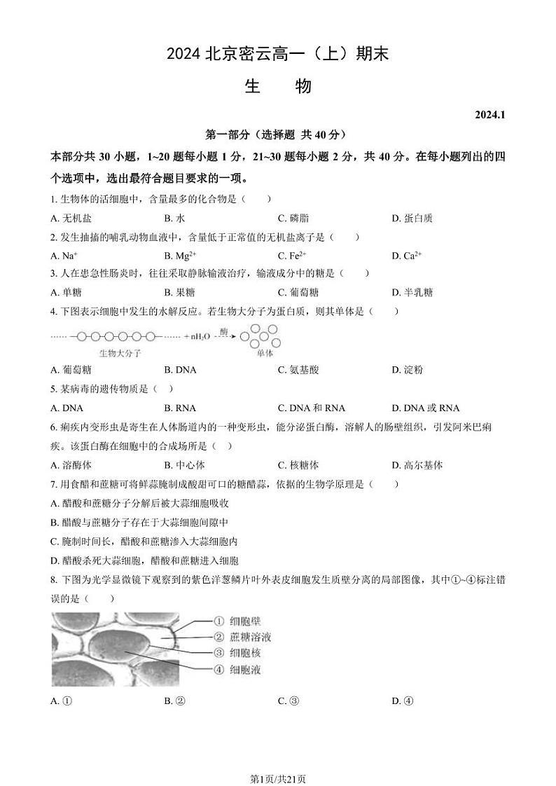2023-2024学年北京密云区高一上学期期末生物试题及答案01