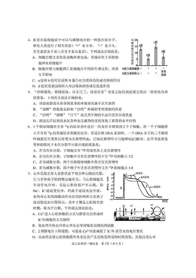 2024届湖南省岳阳市高三上学期教学质量监测（一）生物试题02
