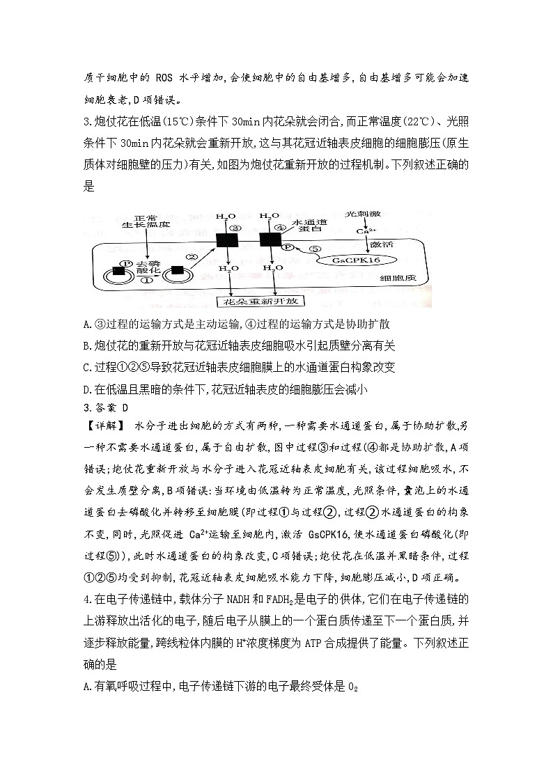 海南省天一联考2023-2024学年高三上学期1月期末生物试题02