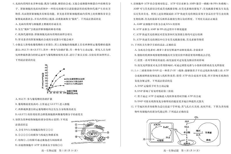 2023-2024年德州市上学期统考高一生物试题第2页