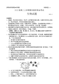 山东省日照市2023-2024学年高二上学期1月期末生物试题