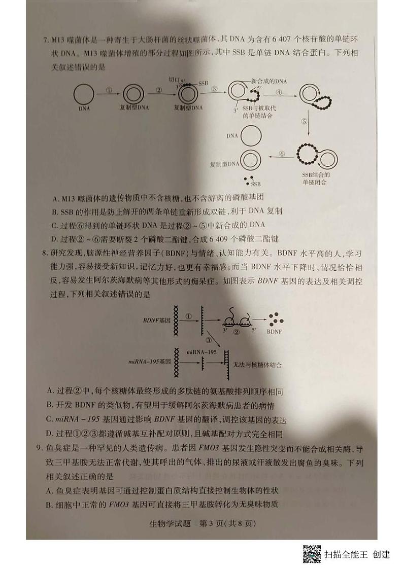 安徽省亳州市普通高中2023-2024学年高三上学期1月期末质量检测生物试题03