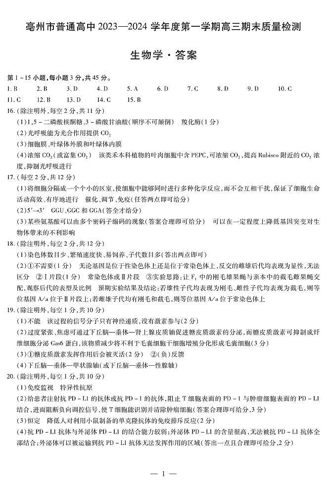 安徽省亳州市普通高中2023-2024学年高三上学期1月期末质量检测生物试题01