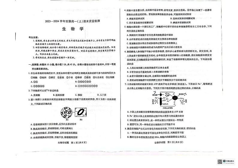 安徽省合肥市第六中学2023_2024学年高一上学期期末考试生物试题01