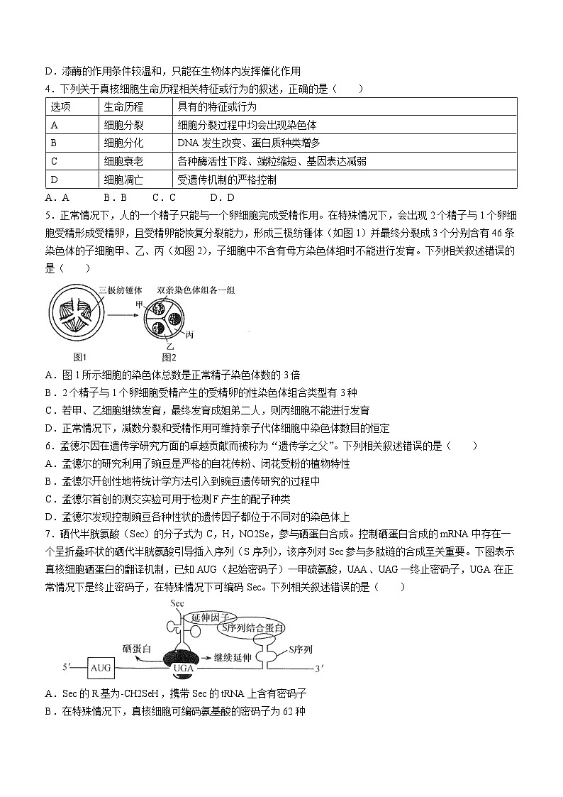 安徽省合肥市一中2023-2024学年高三上学期期末生物试题第2页