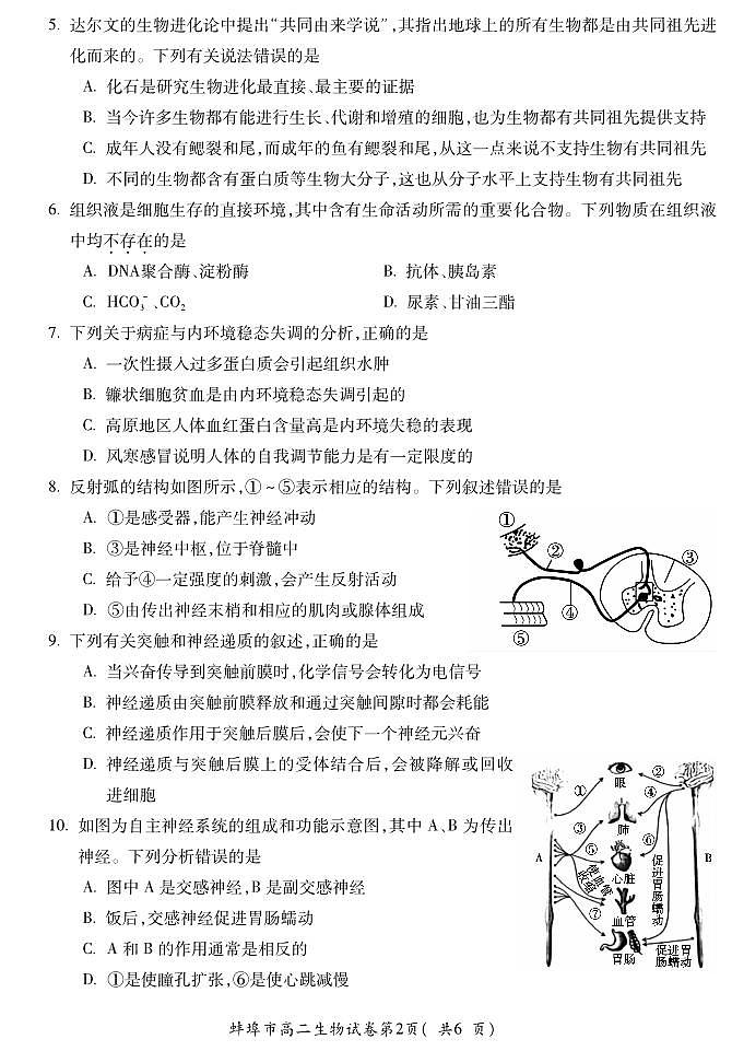 BB蚌埠高二生物试卷第2页