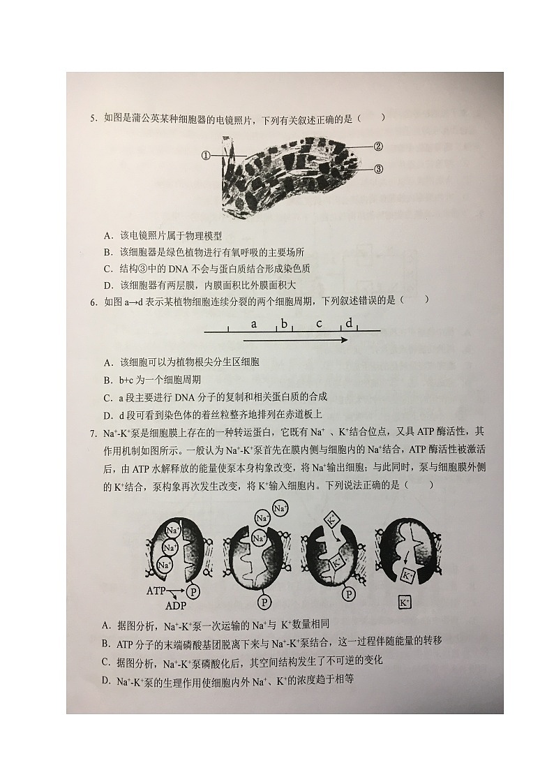 安徽省六安第一中学2023-2024学年高一上学期期末考试生物试题02