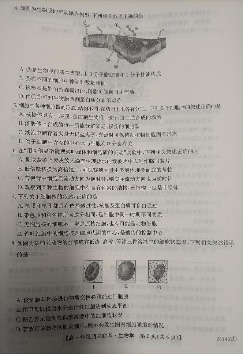 安徽省皖北六校2023-2024学年高一上学期期末联考生物试题第2页