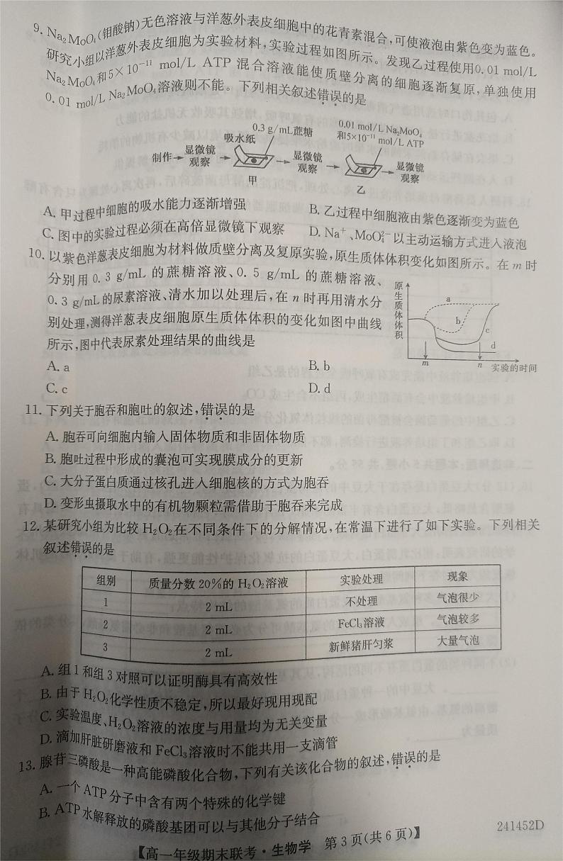 安徽省皖北六校2023-2024学年高一上学期期末联考生物试题第3页