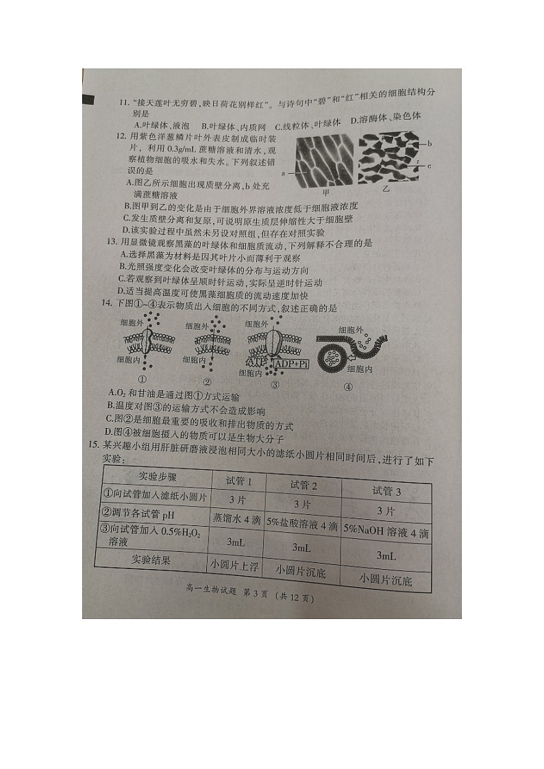 福建省三明市2023-2024学年高一上学期期末考试生物试题第3页