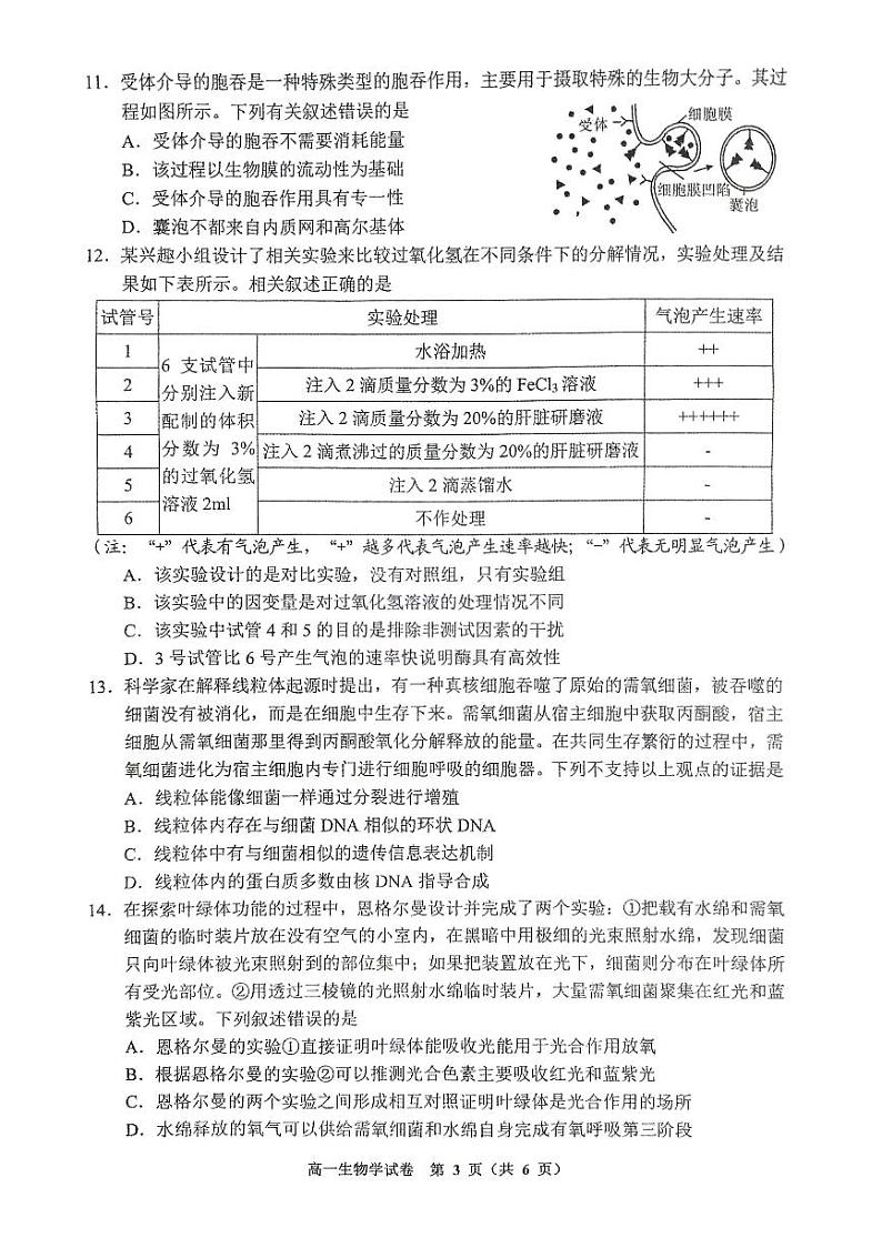 2023-2024学年高一上期期末生物第3页