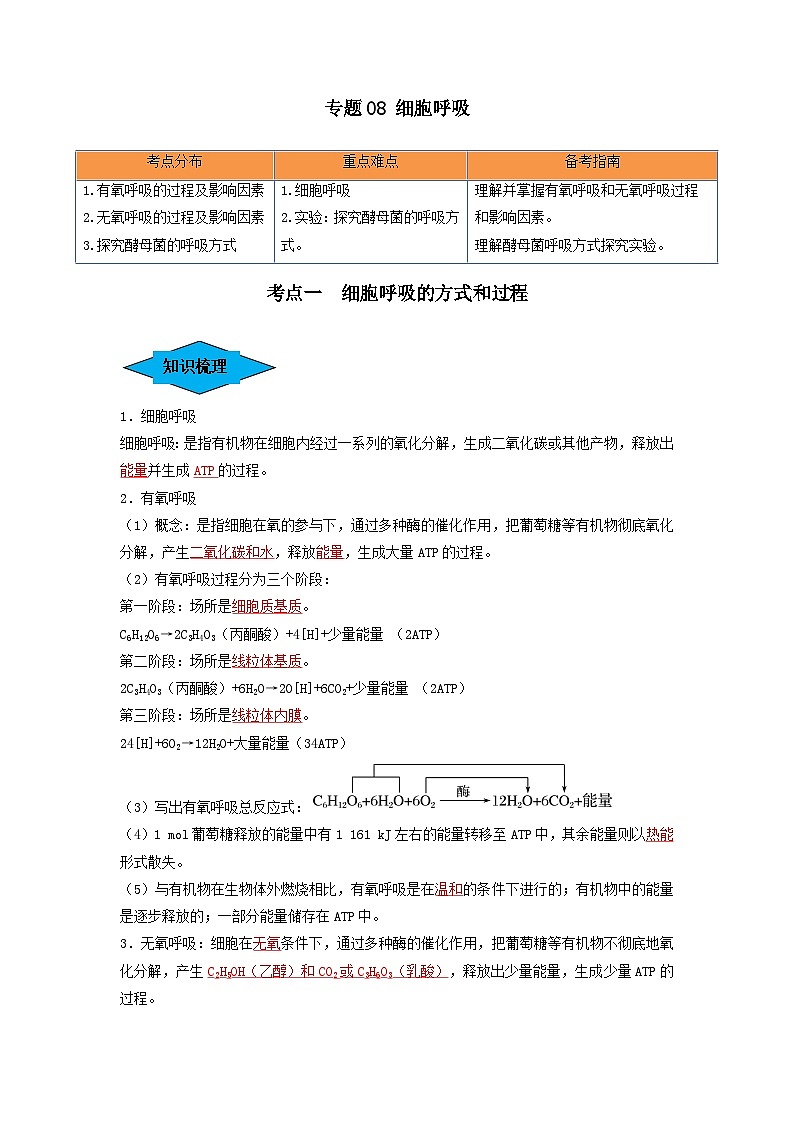 专题08 细胞呼吸（串讲）（解析版）第1页
