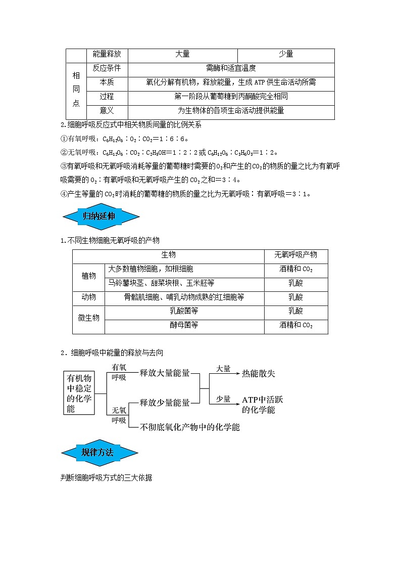 专题08 细胞呼吸（串讲）（解析版）第3页