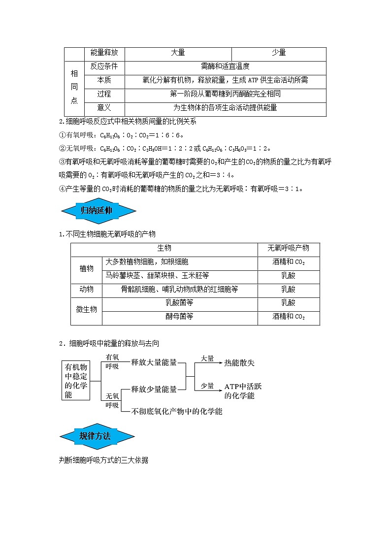 专题08 细胞呼吸（串讲）（原卷版）第3页
