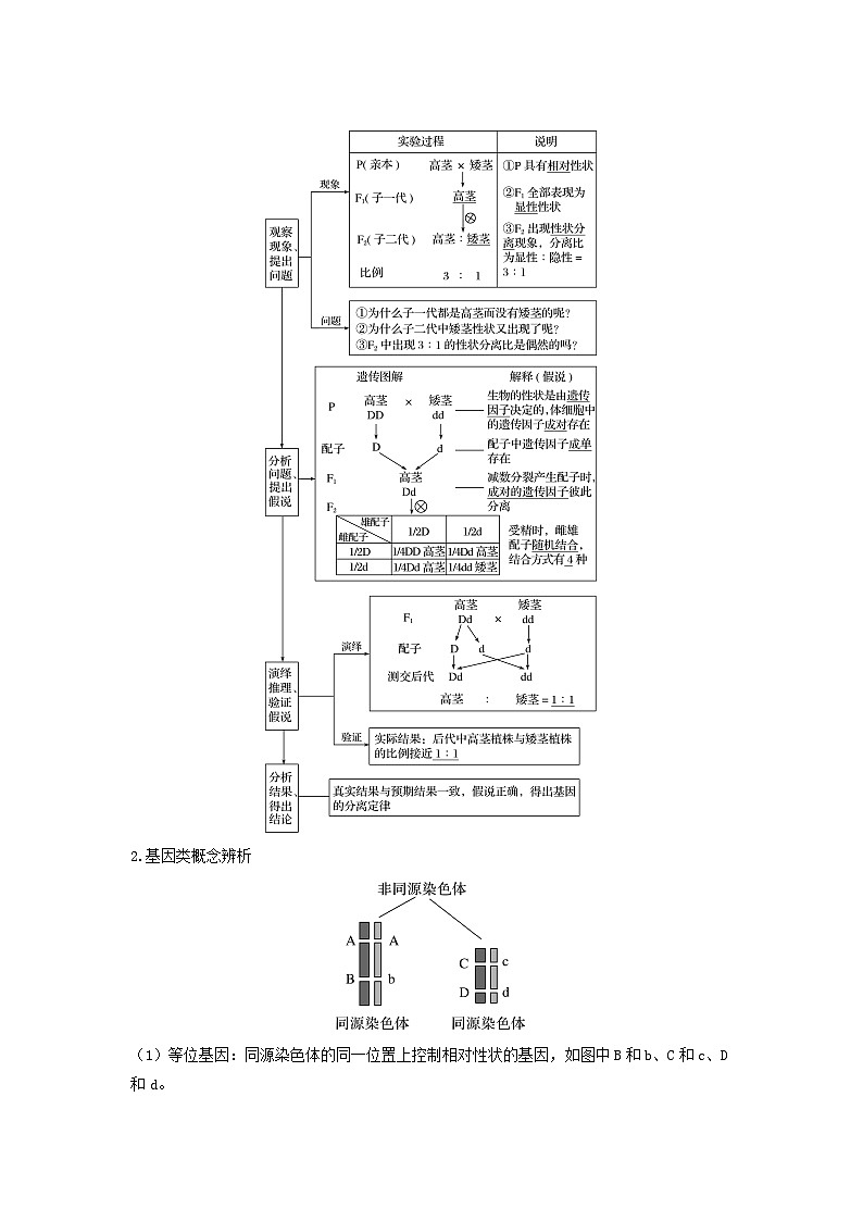 专题14 基因的分离定律（串讲）（原卷版）第3页