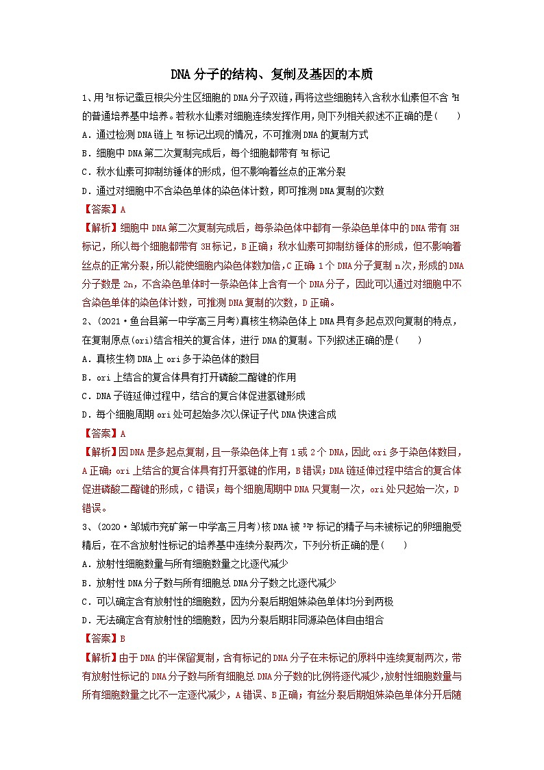 专题18 DNA分子的结构、复制及基因的本质（精练）（解析版）第1页