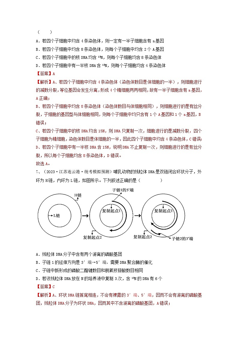 专题18 DNA分子的结构、复制及基因的本质（精练）（解析版）第3页