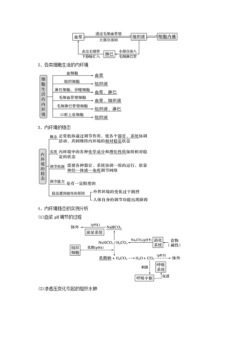 专题23 人体的内环境与稳态（串讲）-备战高考生物一轮复习串讲精练（新高考专用）02