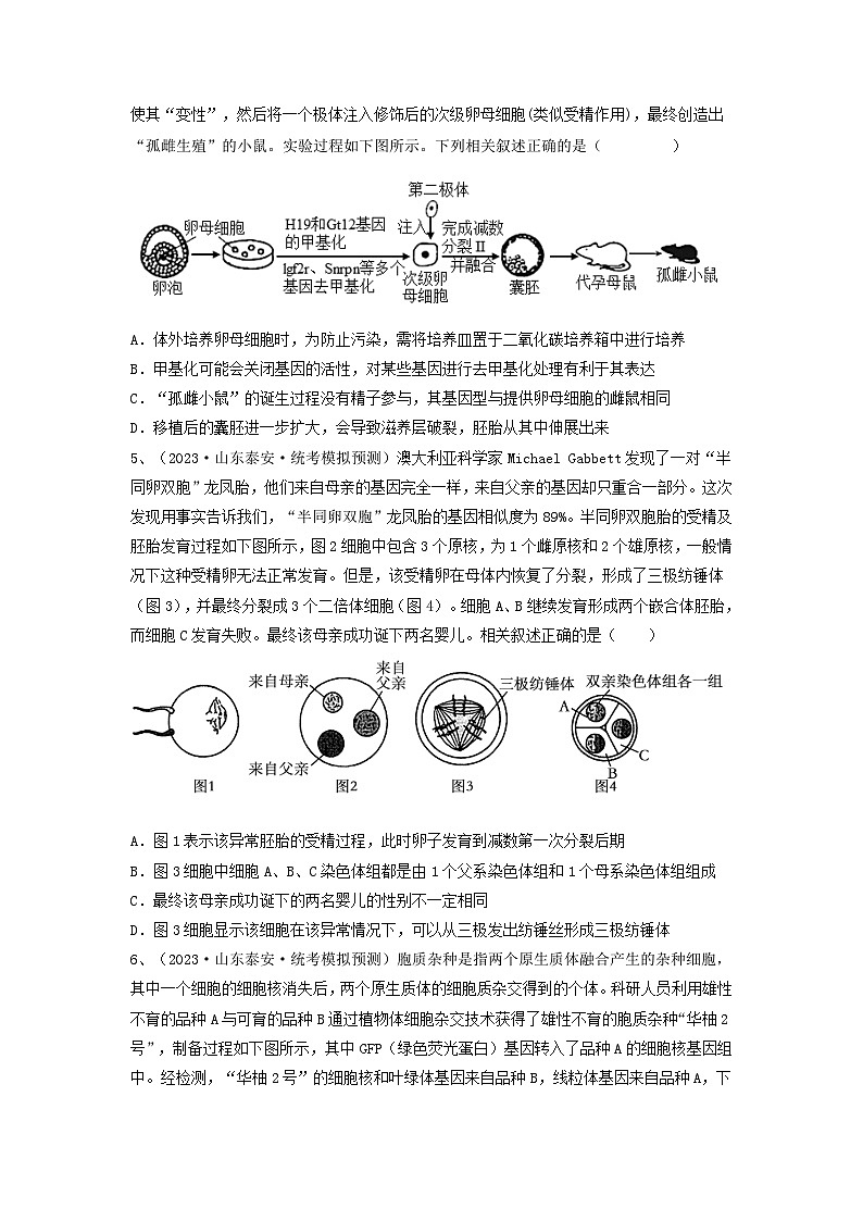 专题33 细胞工程和胚胎工程（精练）-备战高考生物一轮复习串讲精练（新高考专用）02