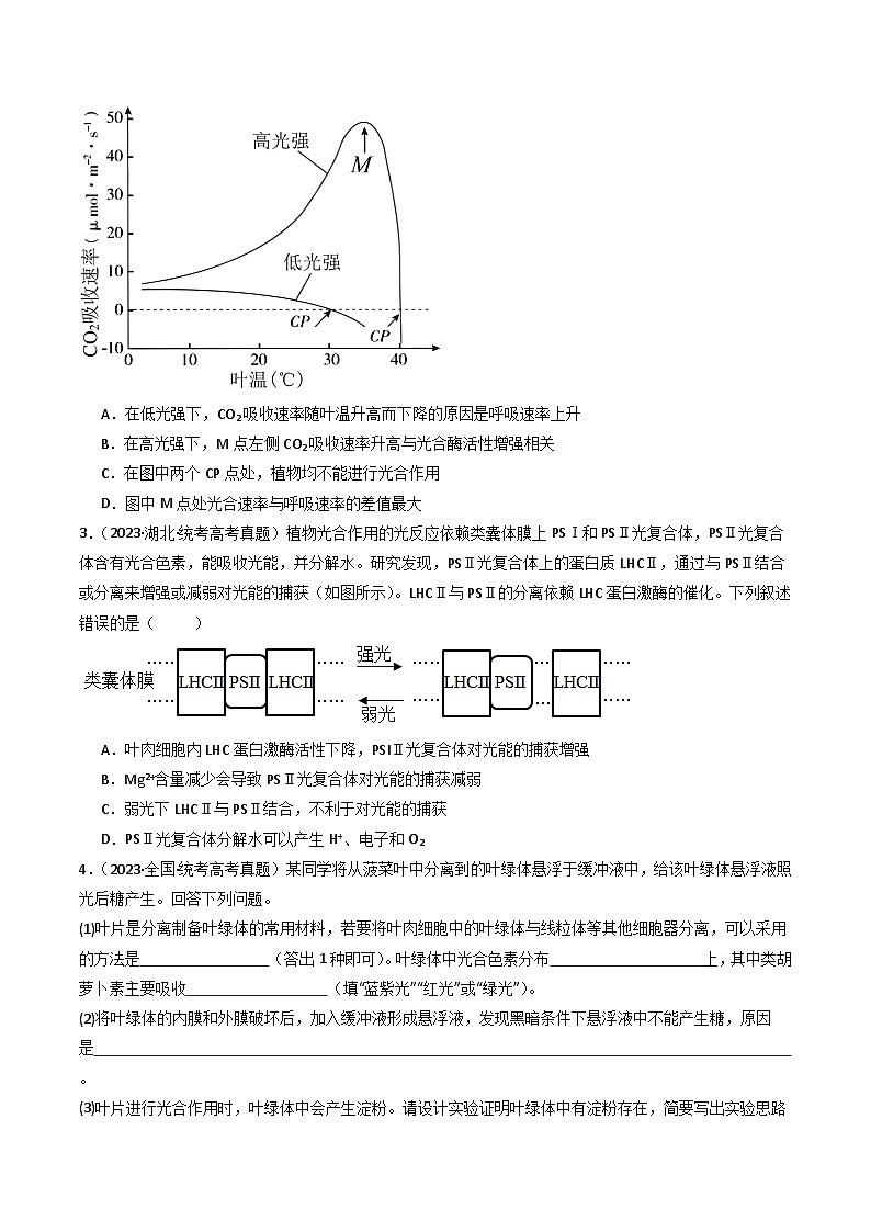 专题06 光合作用（原卷版）第2页