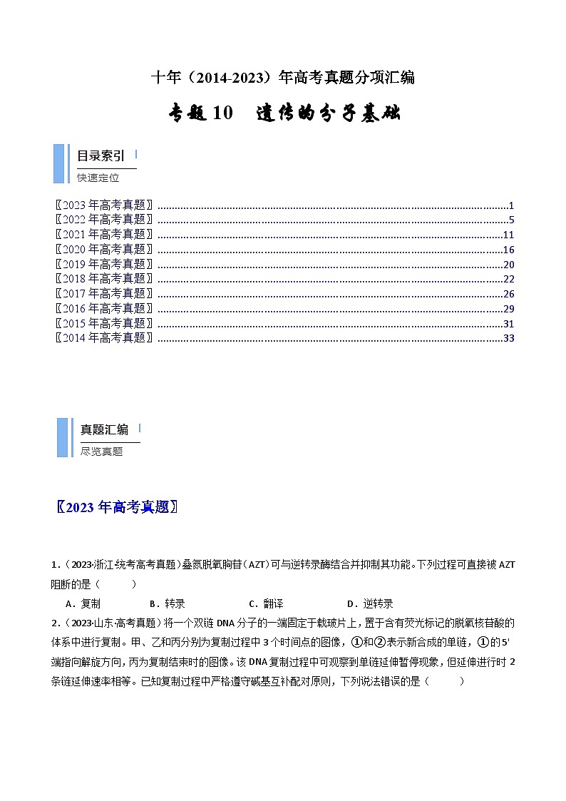 专题10 遗传的分子基础（原卷版）第1页