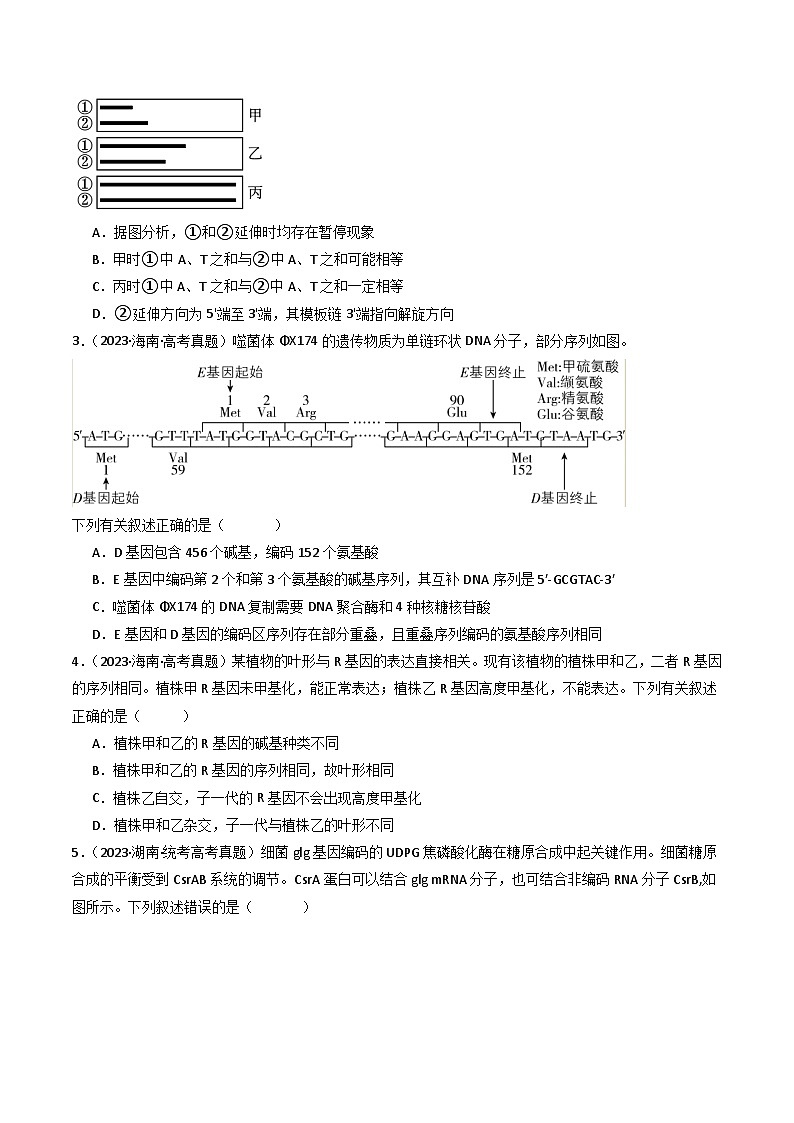 专题10 遗传的分子基础（原卷版）第2页