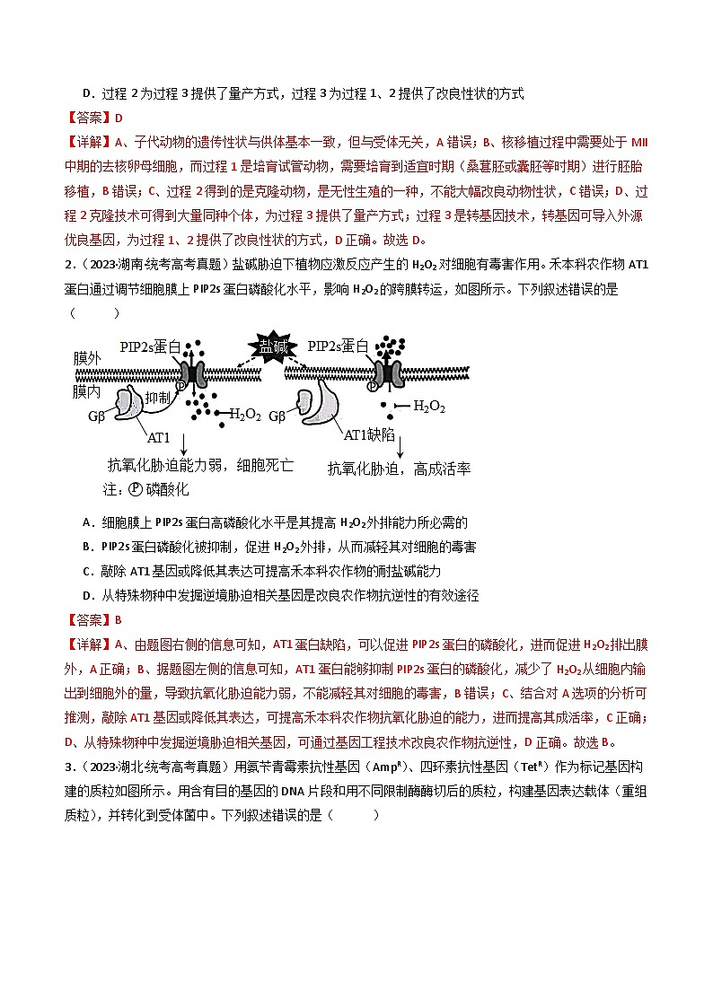 专题25 基因工程-十年（2014-2023）高考生物真题分项汇编（全国通用）02