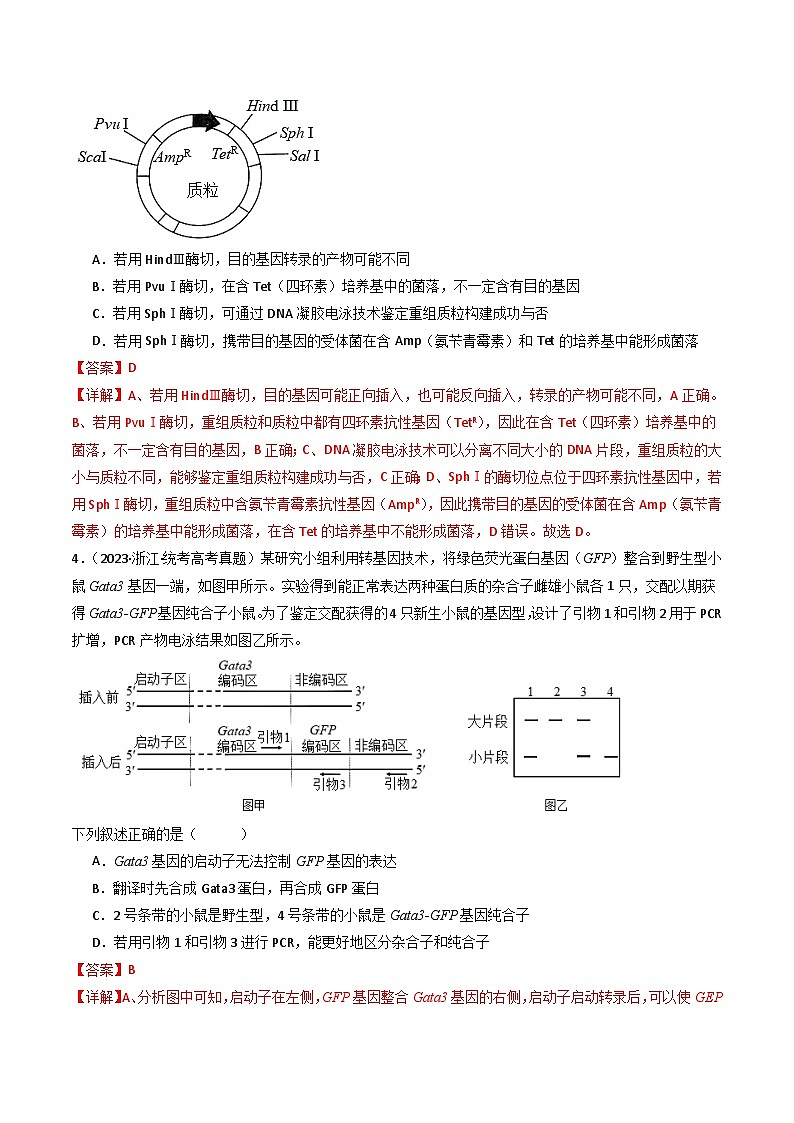 专题25 基因工程-十年（2014-2023）高考生物真题分项汇编（全国通用）03