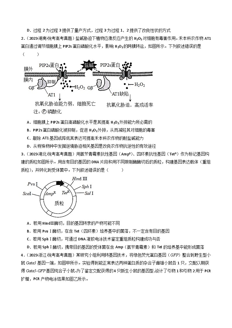专题25 基因工程-十年（2014-2023）高考生物真题分项汇编（全国通用）02