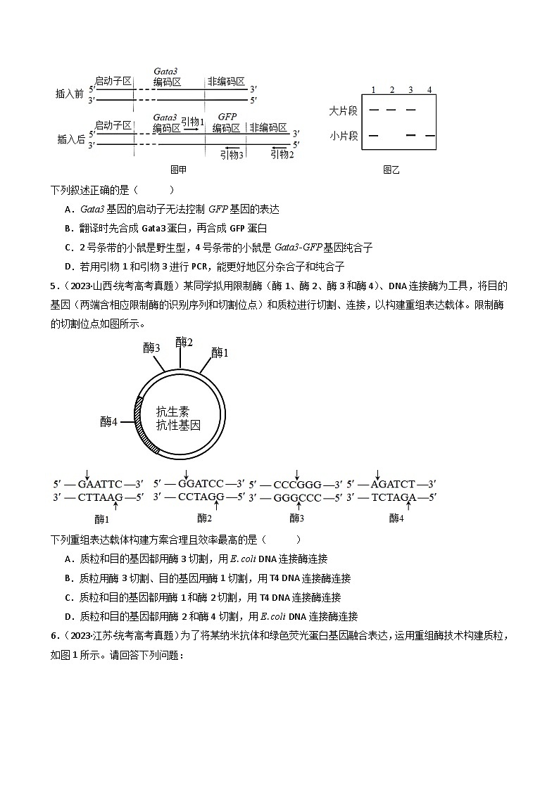 专题25 基因工程-十年（2014-2023）高考生物真题分项汇编（全国通用）03