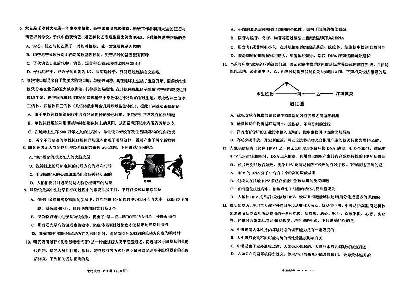 2024重庆市主城区高三上学期第一次学业质量检测试题生物PDF版含答案第2页