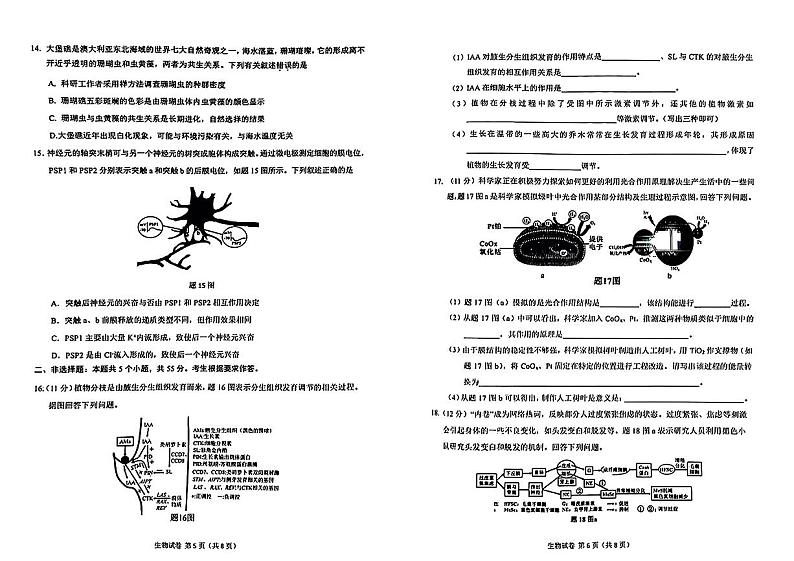2024重庆市主城区高三上学期第一次学业质量检测试题生物PDF版含答案第3页