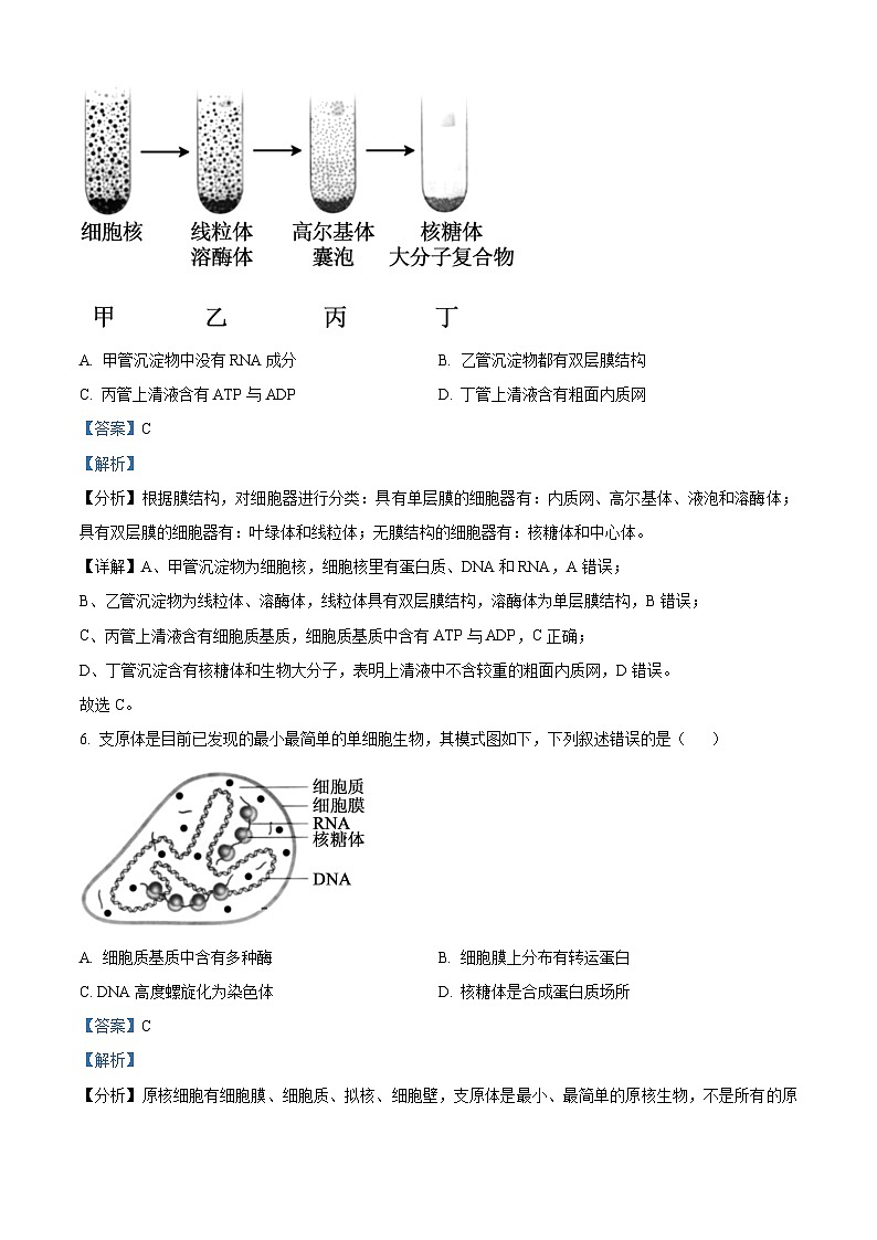 福建省福州市2023-2024学年高一上学期1月期末生物试题（Word版附解析）第3页