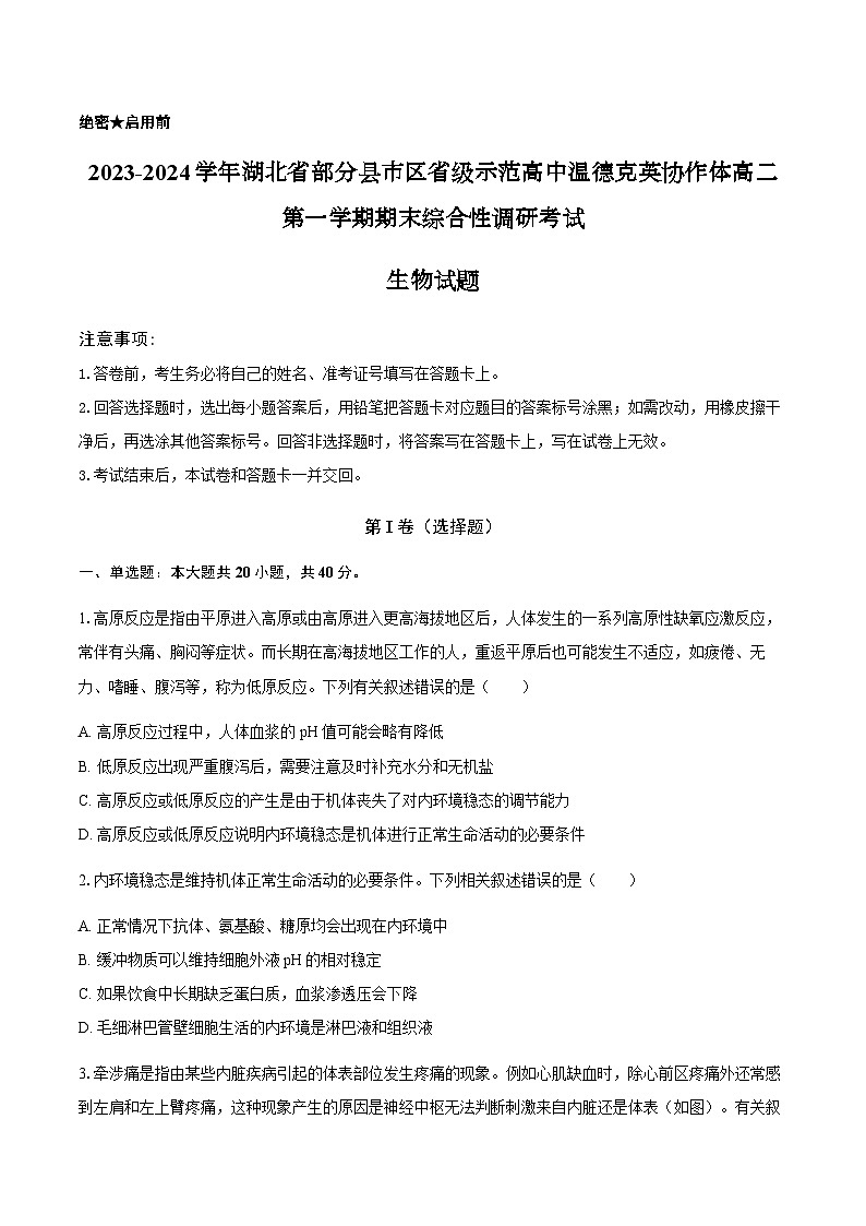 湖北省部分县市区省级示范高中温德克英协作体2023-2024学年高二上学期1月期末综合性调研考试生物试题01