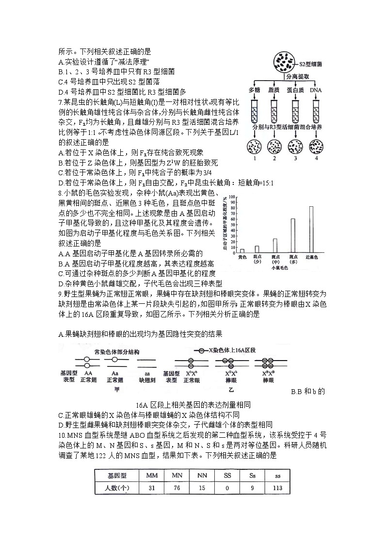 湖南省九师联盟2023～2024学年高三上学期期末考试生物试题02
