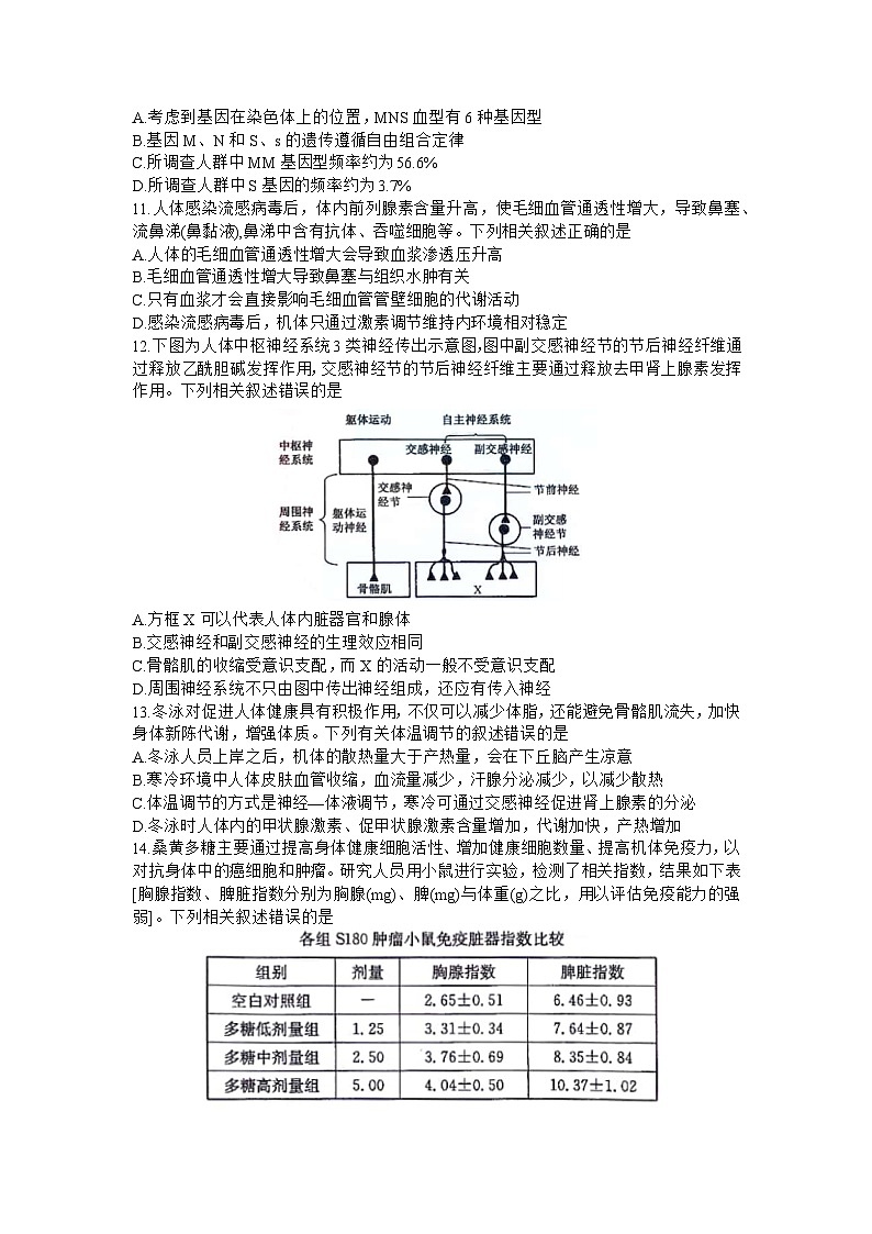 湖南省九师联盟2023～2024学年高三上学期期末考试生物试题03
