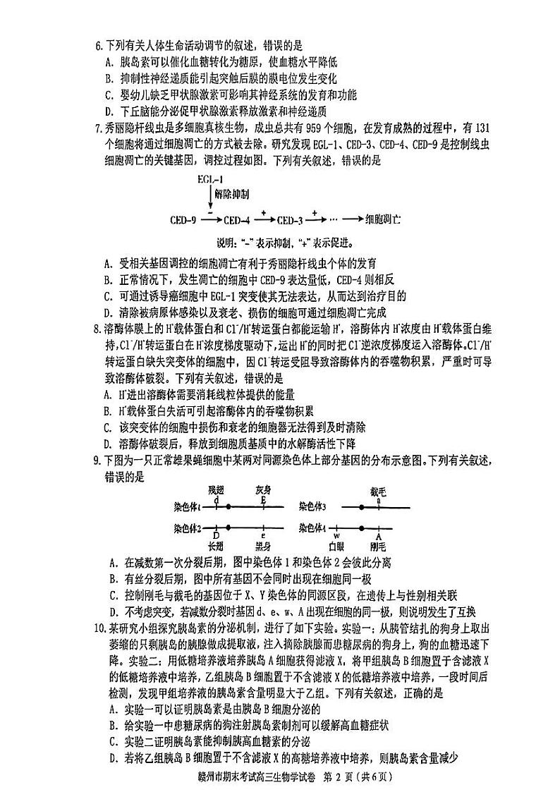 江西省赣州市2023-2024学年高三上学期期末考试生物试题02