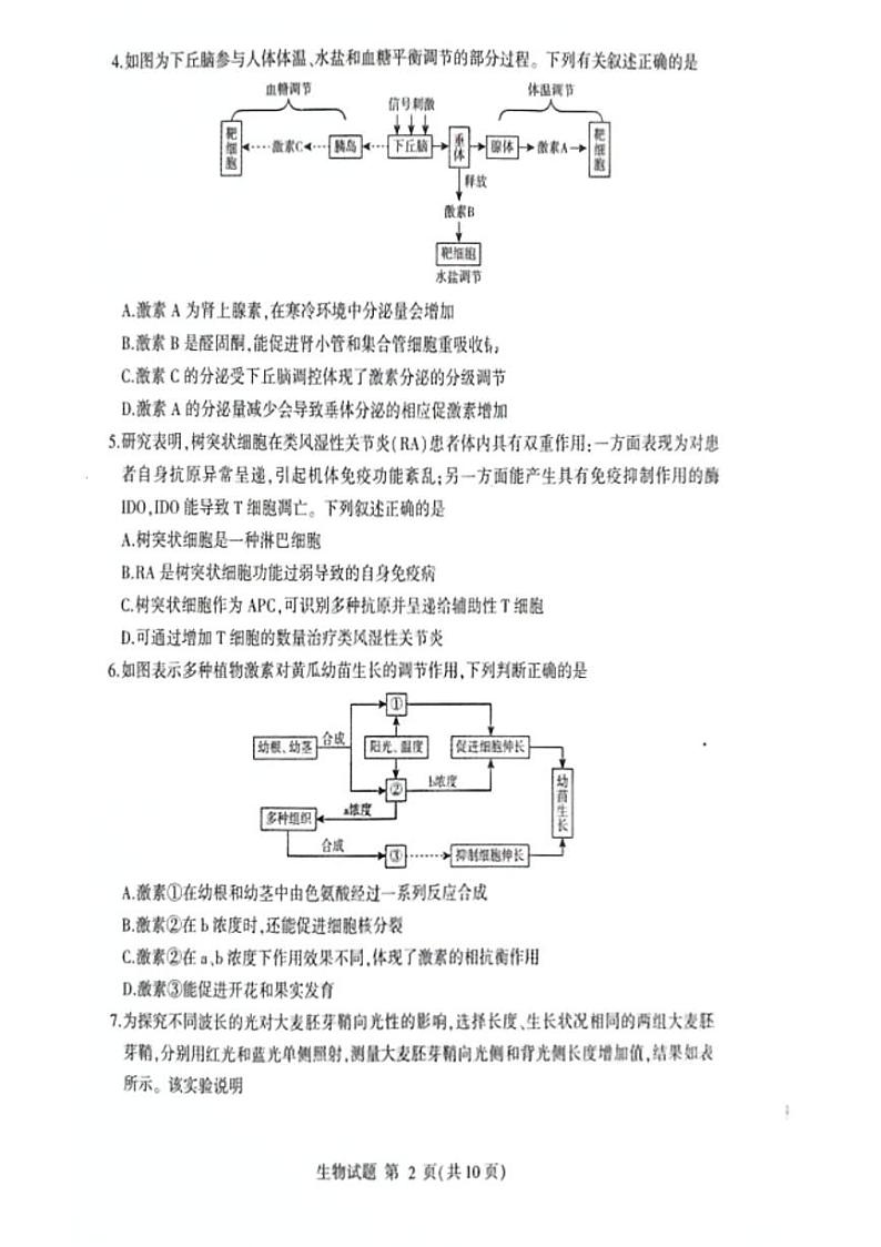 山东省临沂市2023-2024学年高二上学期1月期末生物试题第2页