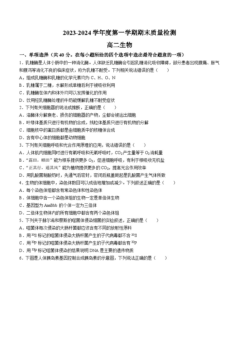 陕西省西安市西北大学附属中学2023-2024学年高二上学期期末生物试题(无答案)01