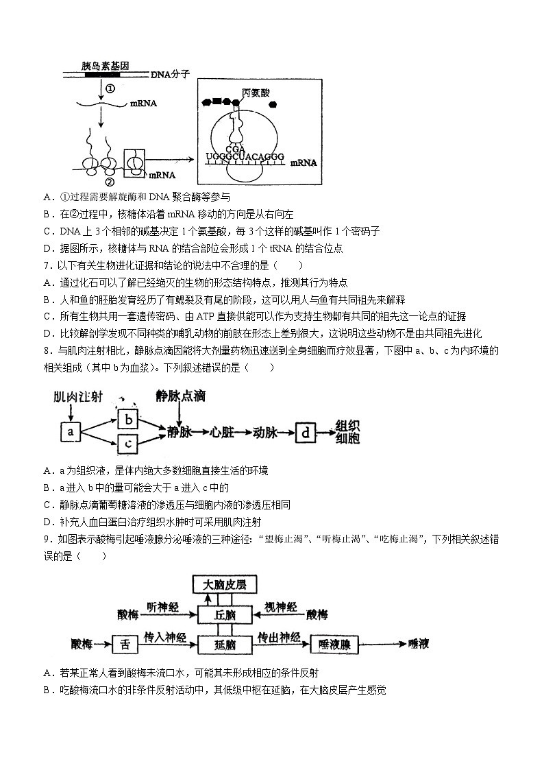 陕西省西安市西北大学附属中学2023-2024学年高二上学期期末生物试题(无答案)02