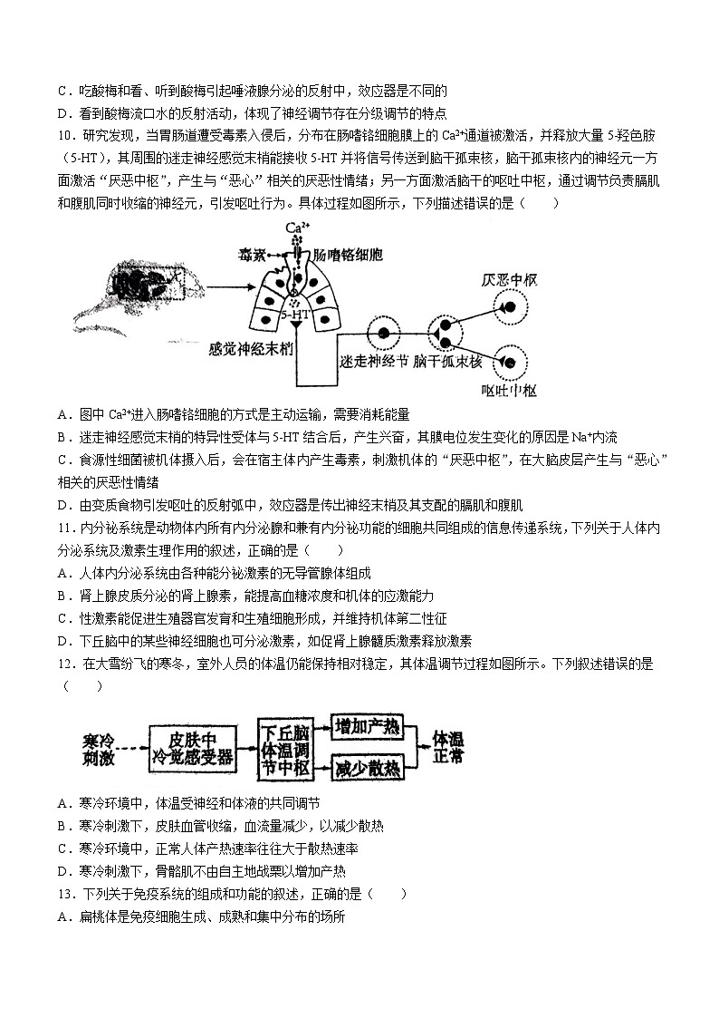 陕西省西安市西北大学附属中学2023-2024学年高二上学期期末生物试题(无答案)03
