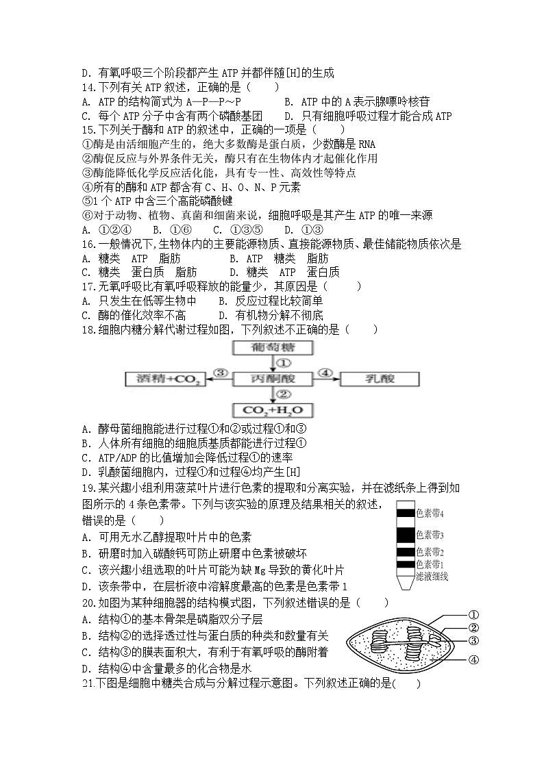 陕西省西安市周至县第四中学2023-2024学年高一上学期1月期末生物试题03
