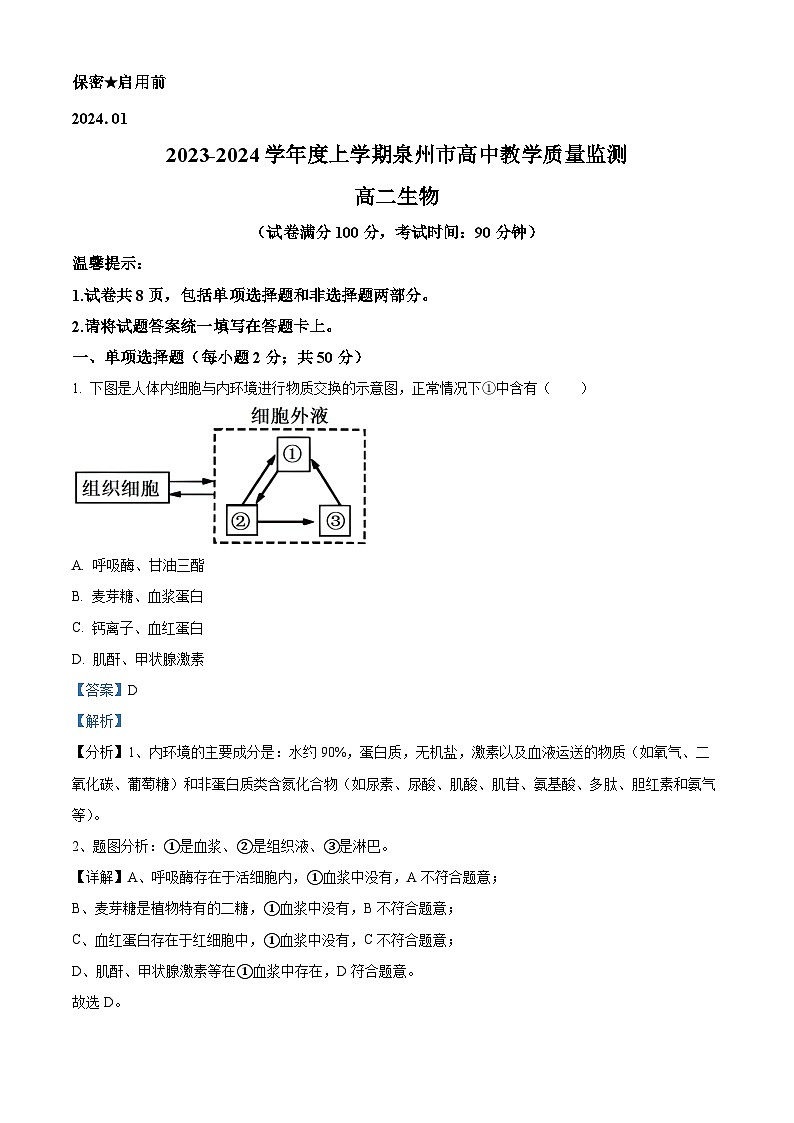 福建省泉州市2023-2024学年高二上学期期末质量监测生物试题（Word版附解析）01