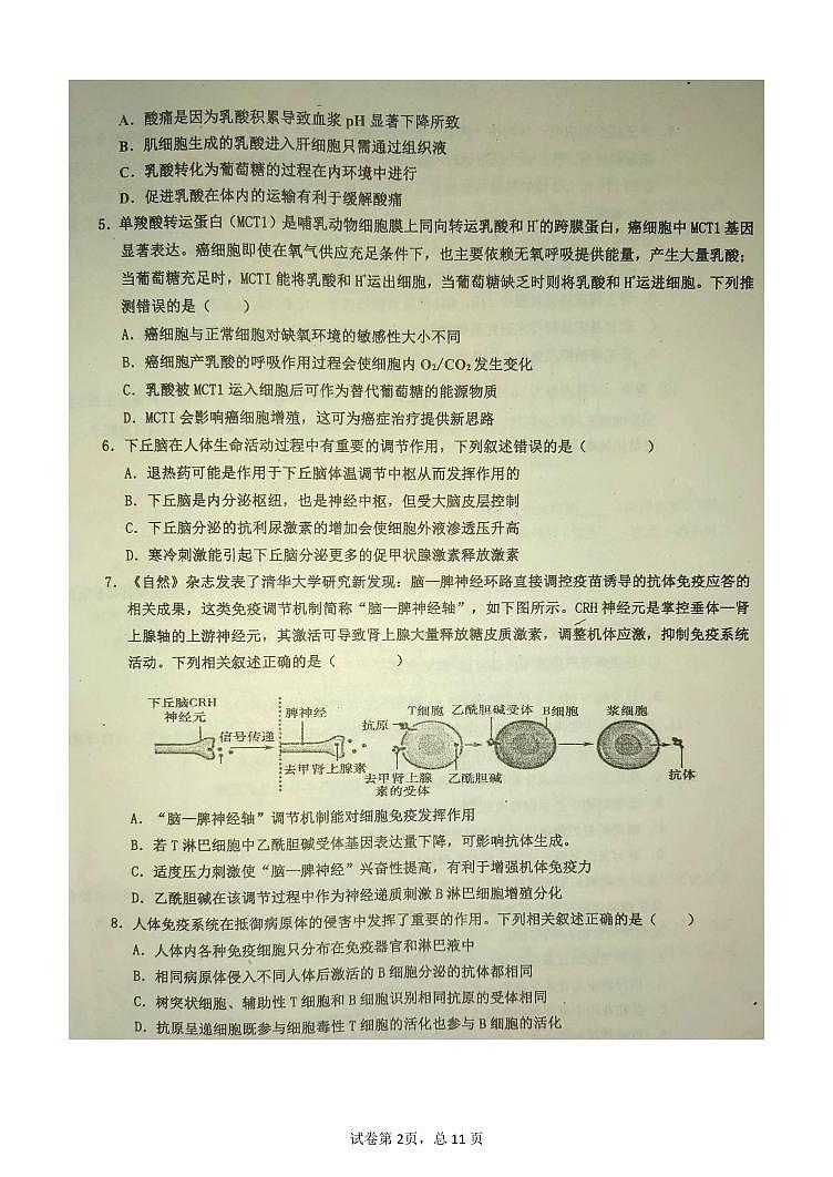河北省衡水市武邑中学2023-2024学年高三上学期期末考试生物试卷（PDF版附答案）第2页