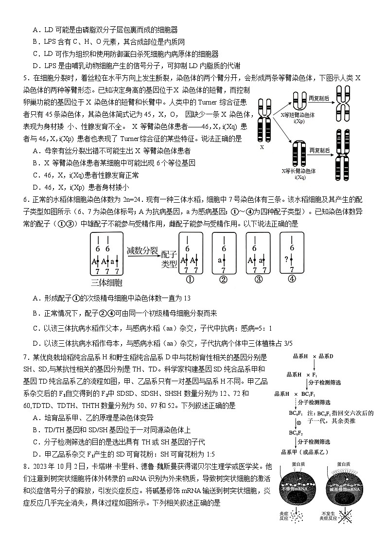 2024年山东省普通高中学业水平等级考试适应性测试（一）生物试题+02