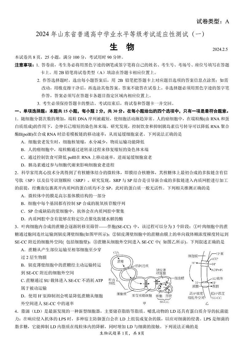 2024年山东省普通高中学业水平等级考试适应性测试（一）生物试题+01