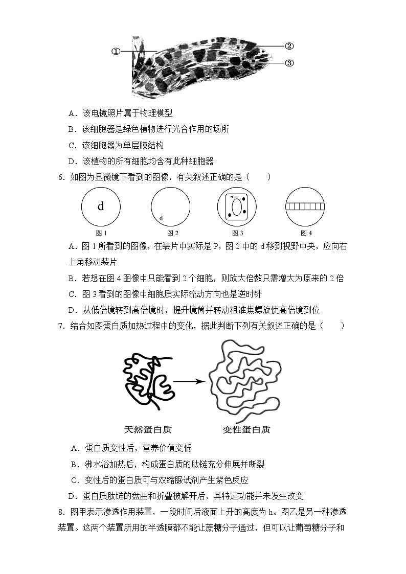 安徽省亳州市第二完全中学2023-2024学年高一上学期期末考试生物试题第2页