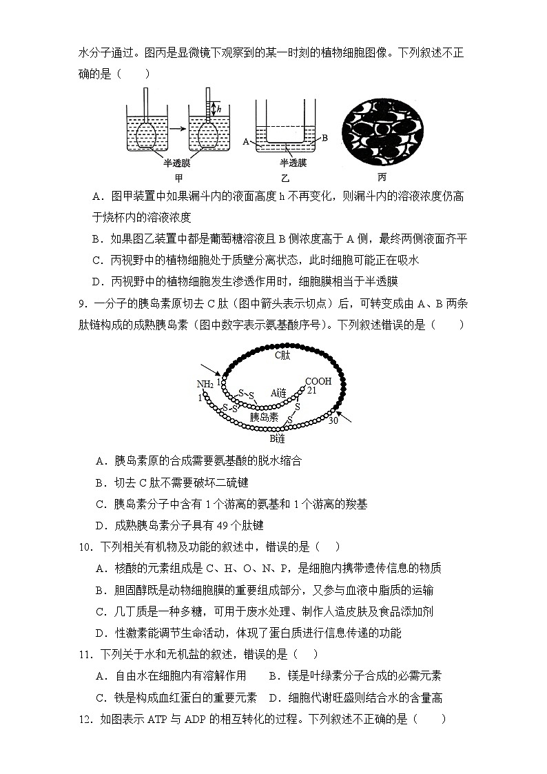 安徽省亳州市第二完全中学2023-2024学年高一上学期期末考试生物试题第3页